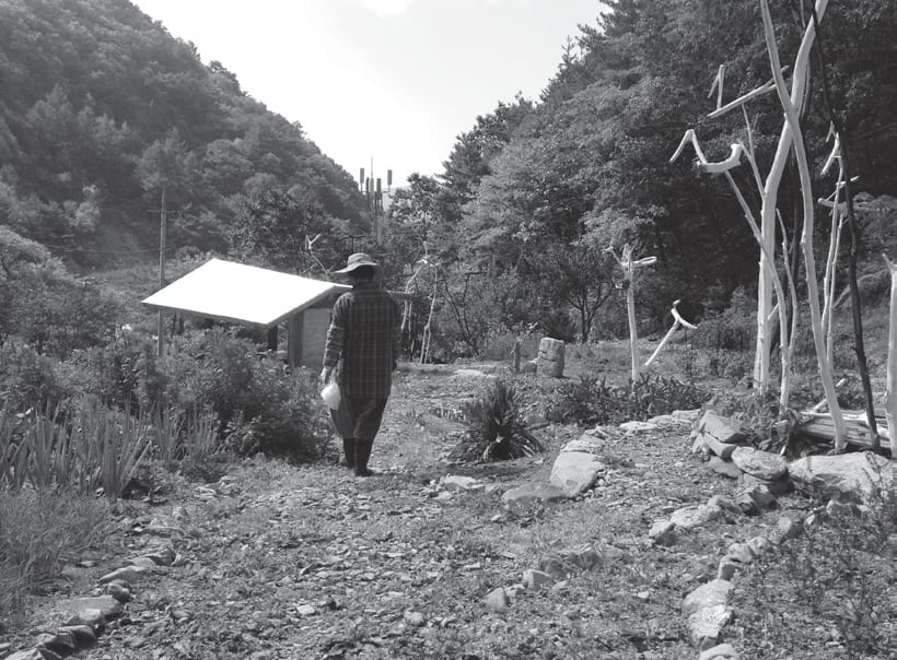 산골 밭길을 걸어가는 농부의 뒷모습