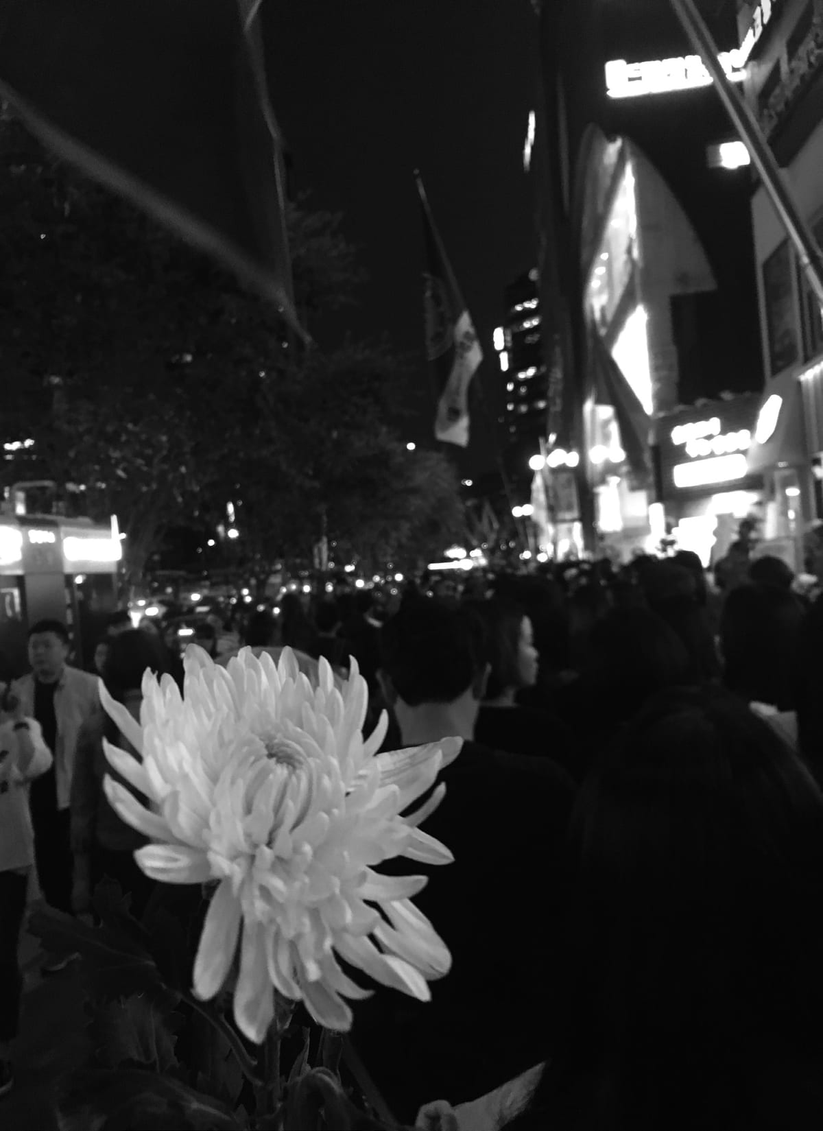 <강남역여성살해사건 1주기> 활동 사진