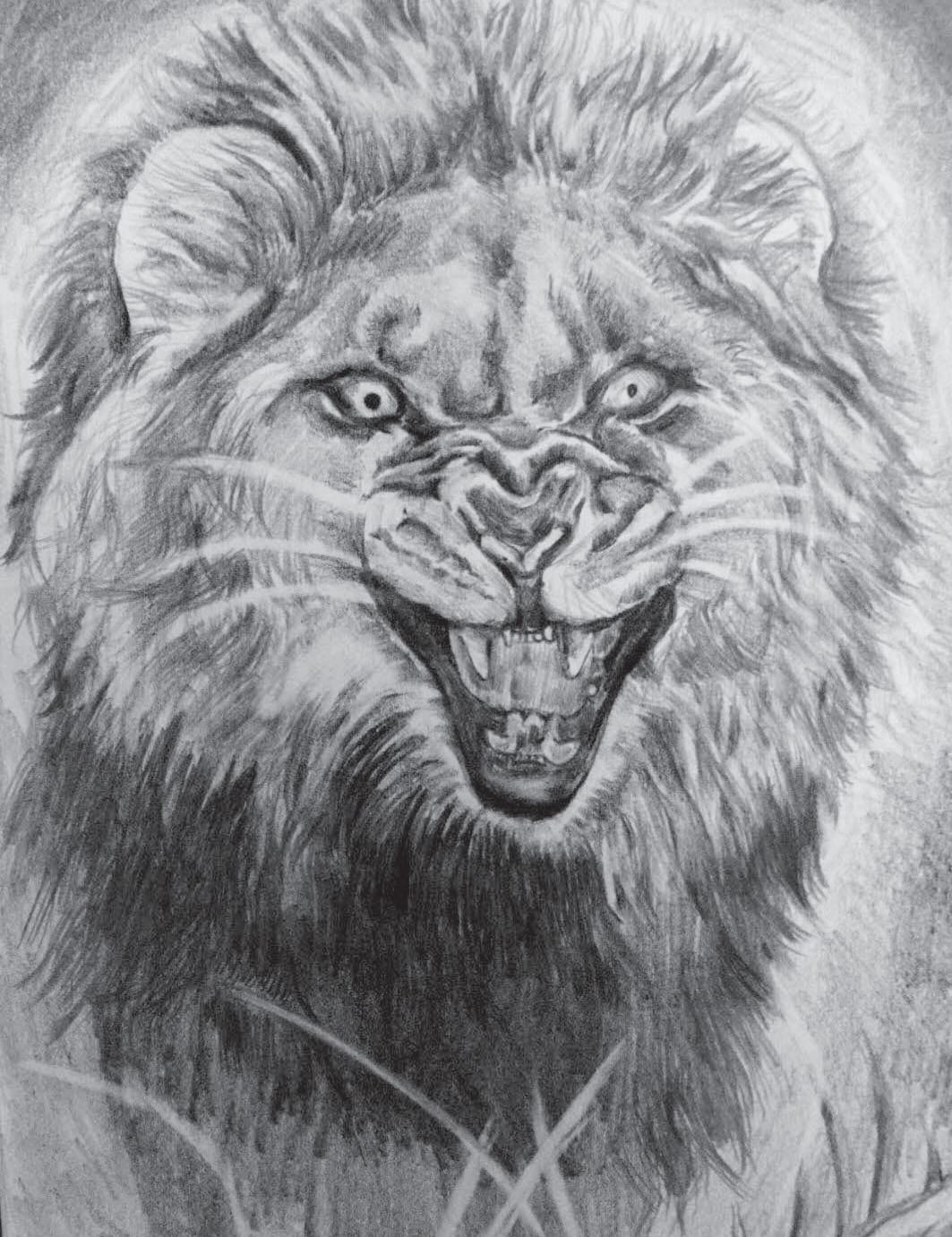 사자 그림