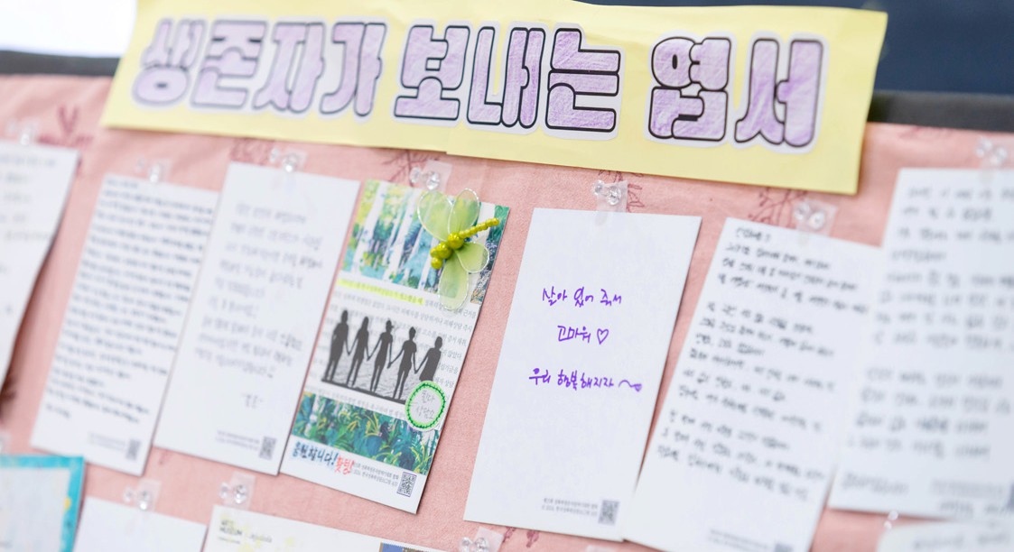'생존자가 보내는 엽서'라고 적힌 노란 라벨 아래, 손글씨와 그림이 담긴 엽서들이 게시판에 전시되어 있는 모습